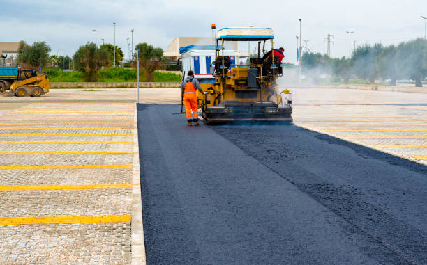 Best Residential Paver Driveway  in Silver Springs, FL