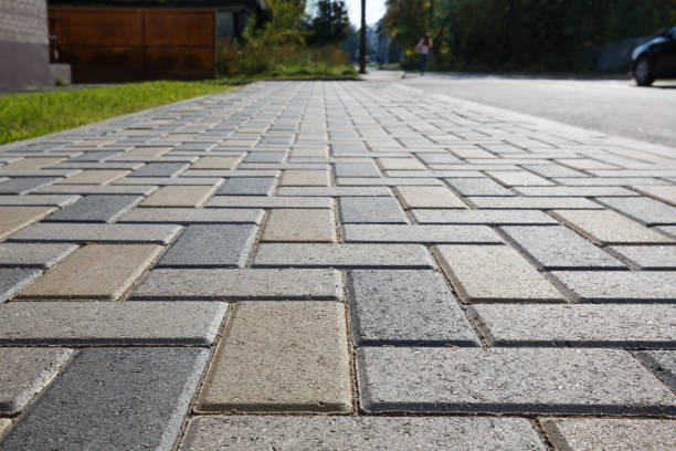 Best Professional Driveway Pavers  in Silver Springs, FL