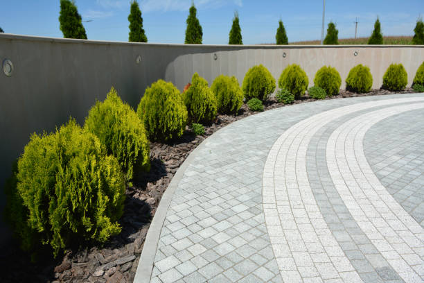 Best Permeable Paver Driveway  in Silver Springs, FL